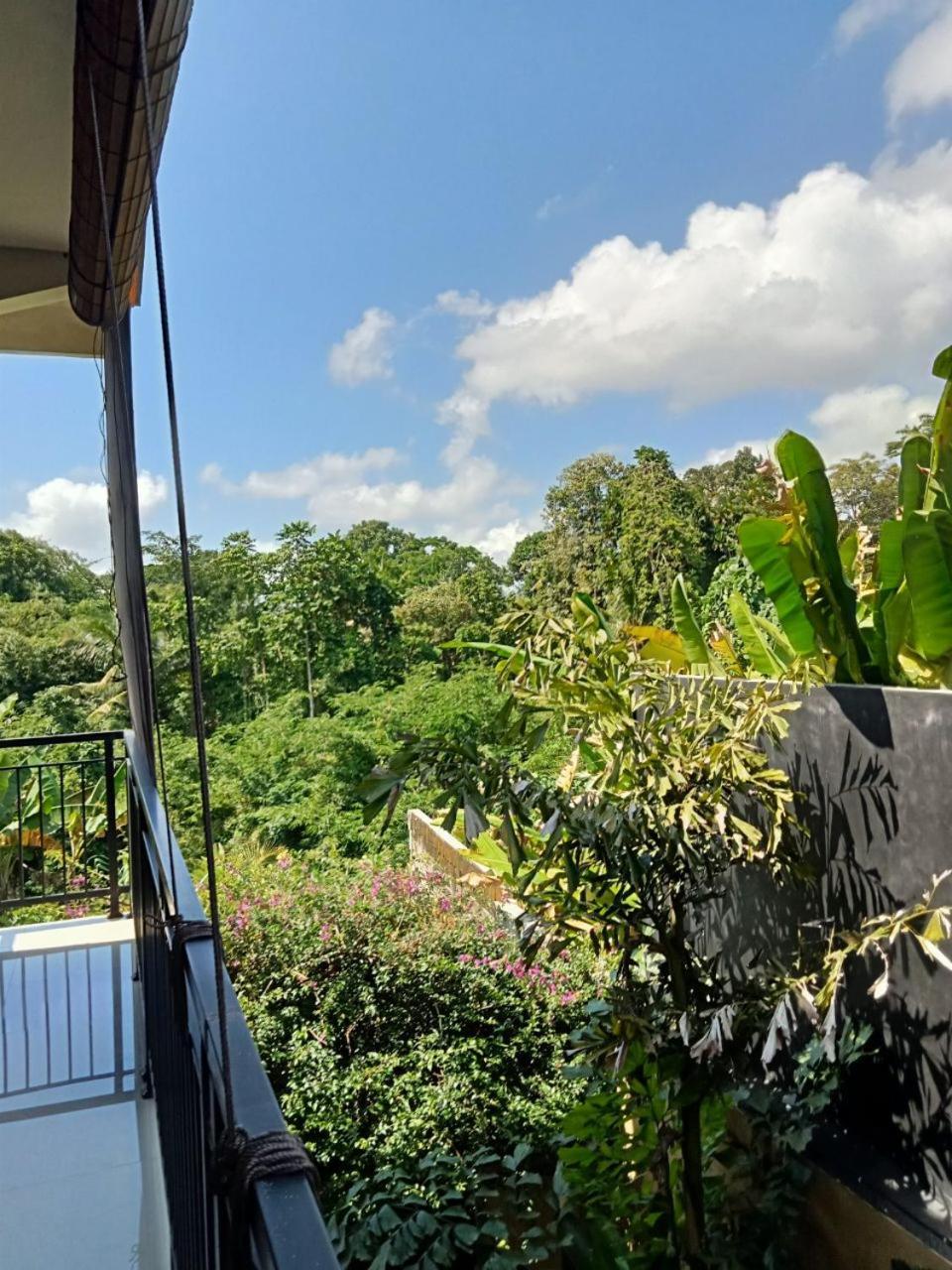 Lavista Guesthouse Ubud  Ngoại thất bức ảnh